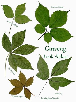 cover image of Ginseng Look-Alikes